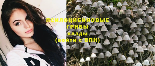 ПСИЛОЦИБИНОВЫЕ ГРИБЫ Аркадак