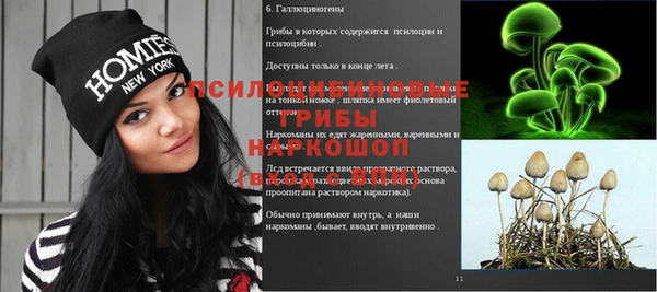 первитин Карпинск
